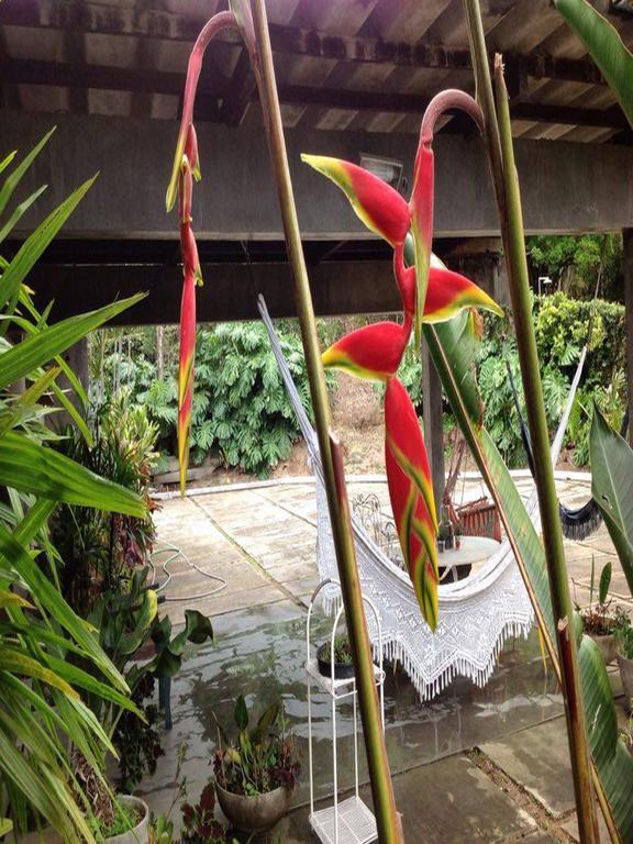 نوفا فريبورغو Braunes Guest House المظهر الخارجي الصورة