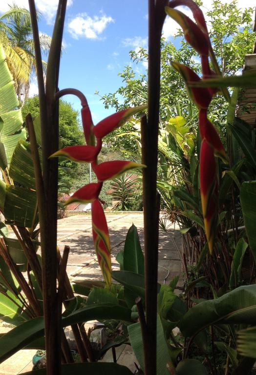 نوفا فريبورغو Braunes Guest House المظهر الخارجي الصورة